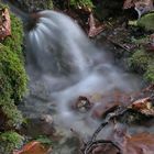 Herbststimmung