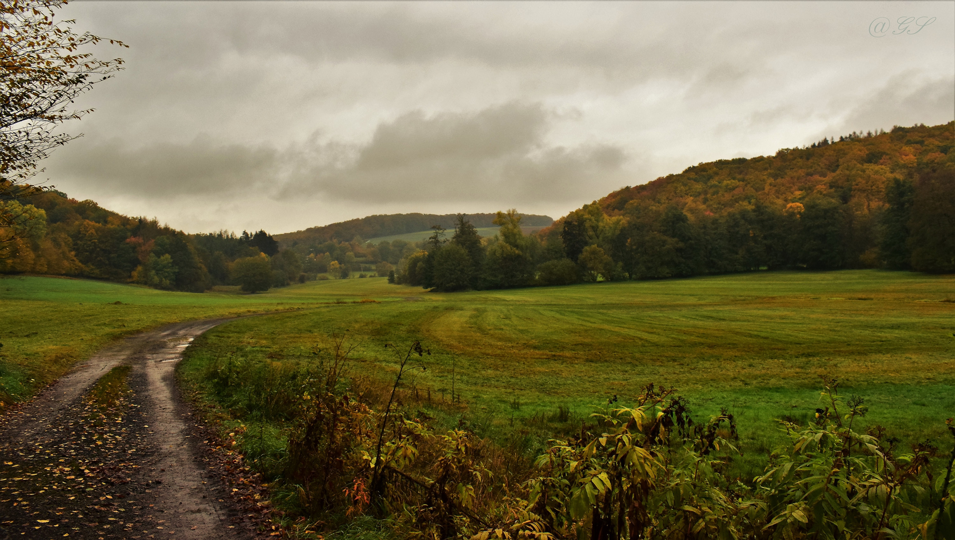 Herbststimmung