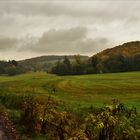 Herbststimmung