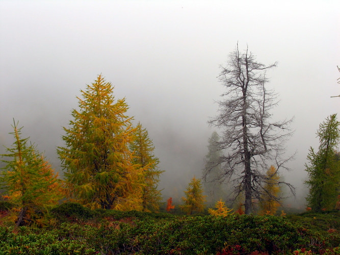 Herbststimmung