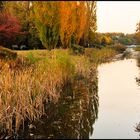 Herbststimmung