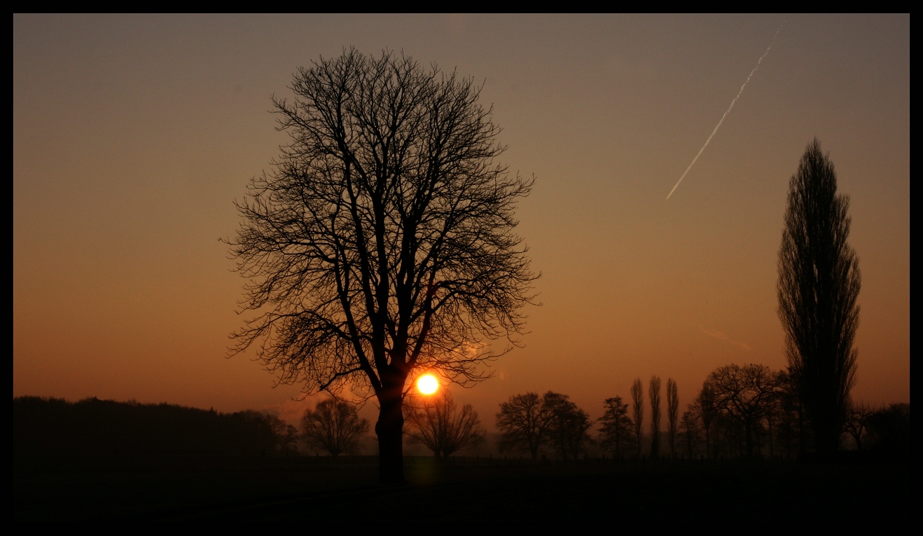 Herbststimmung...