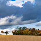 Herbststimmung