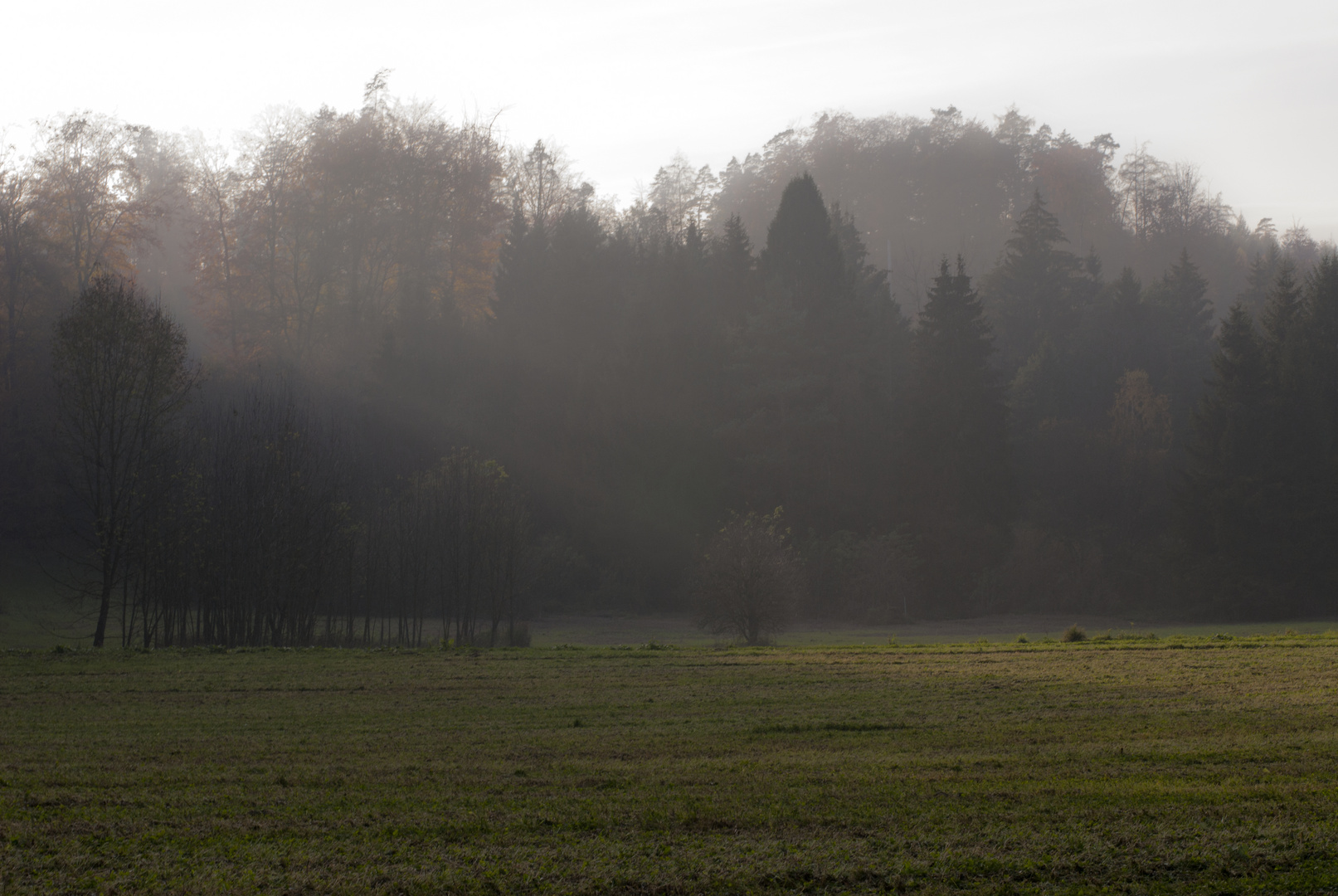 Herbststimmung