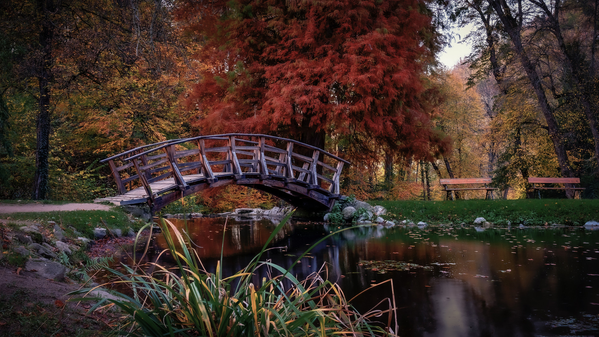 Herbststimmung