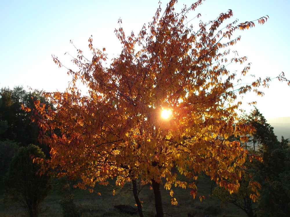 Herbststimmung