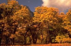 Herbststimmung!