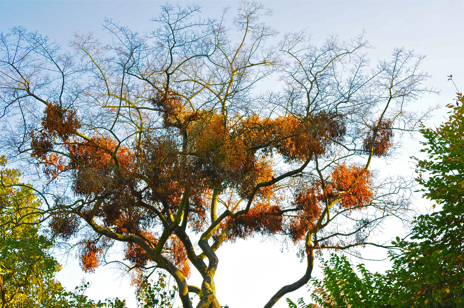 Herbststimmung