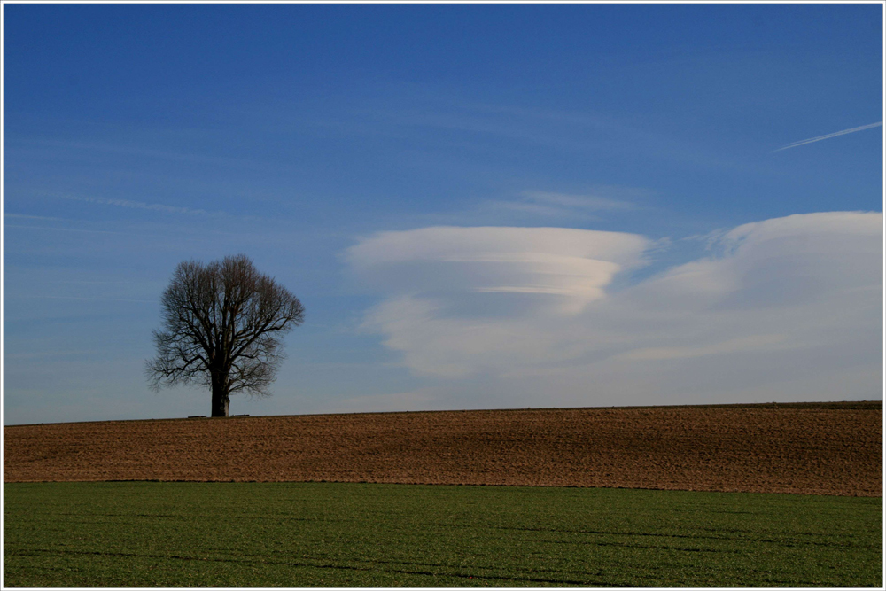 Herbststimmung