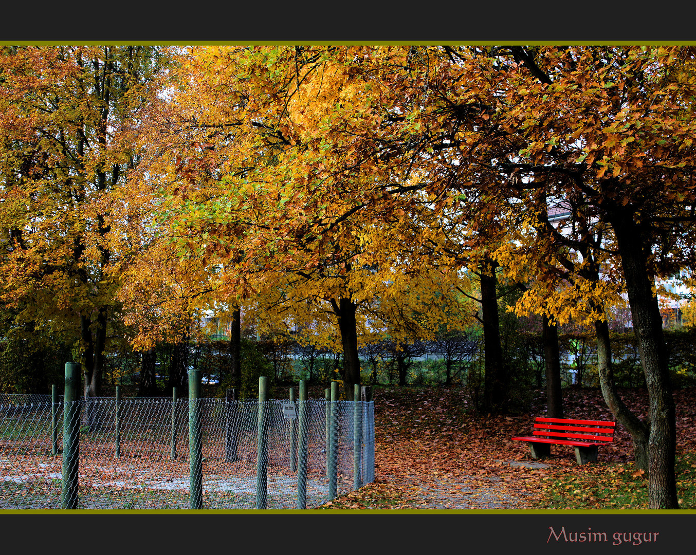 Herbststimmung