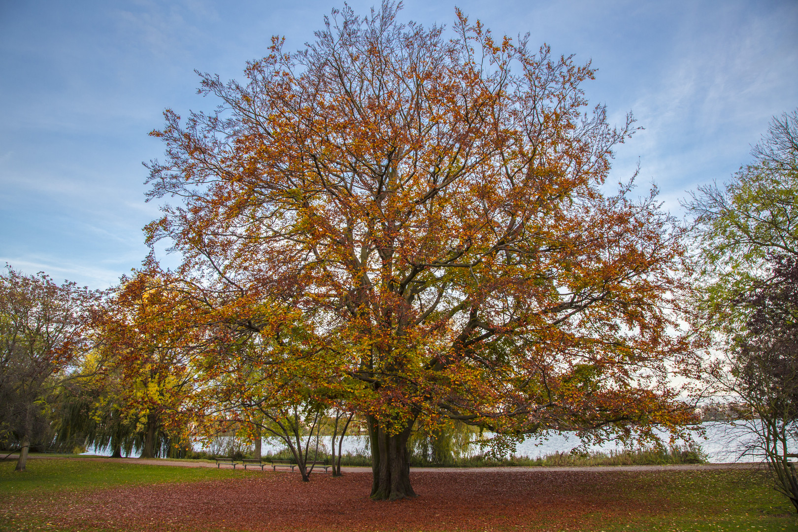 Herbststimmung