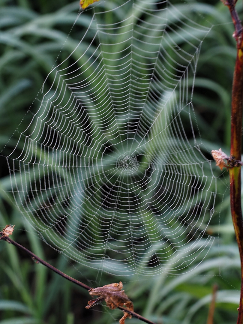 Herbststimmung