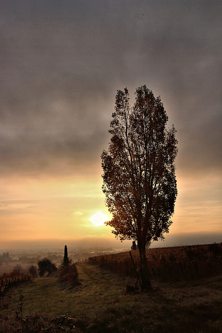 Herbststimmung