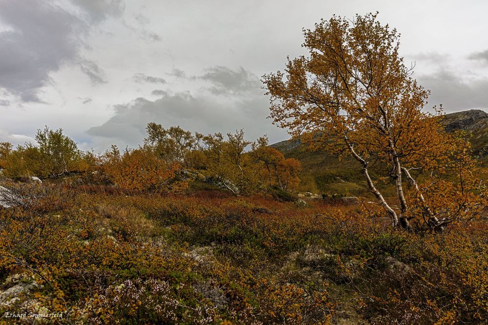 Herbststimmung