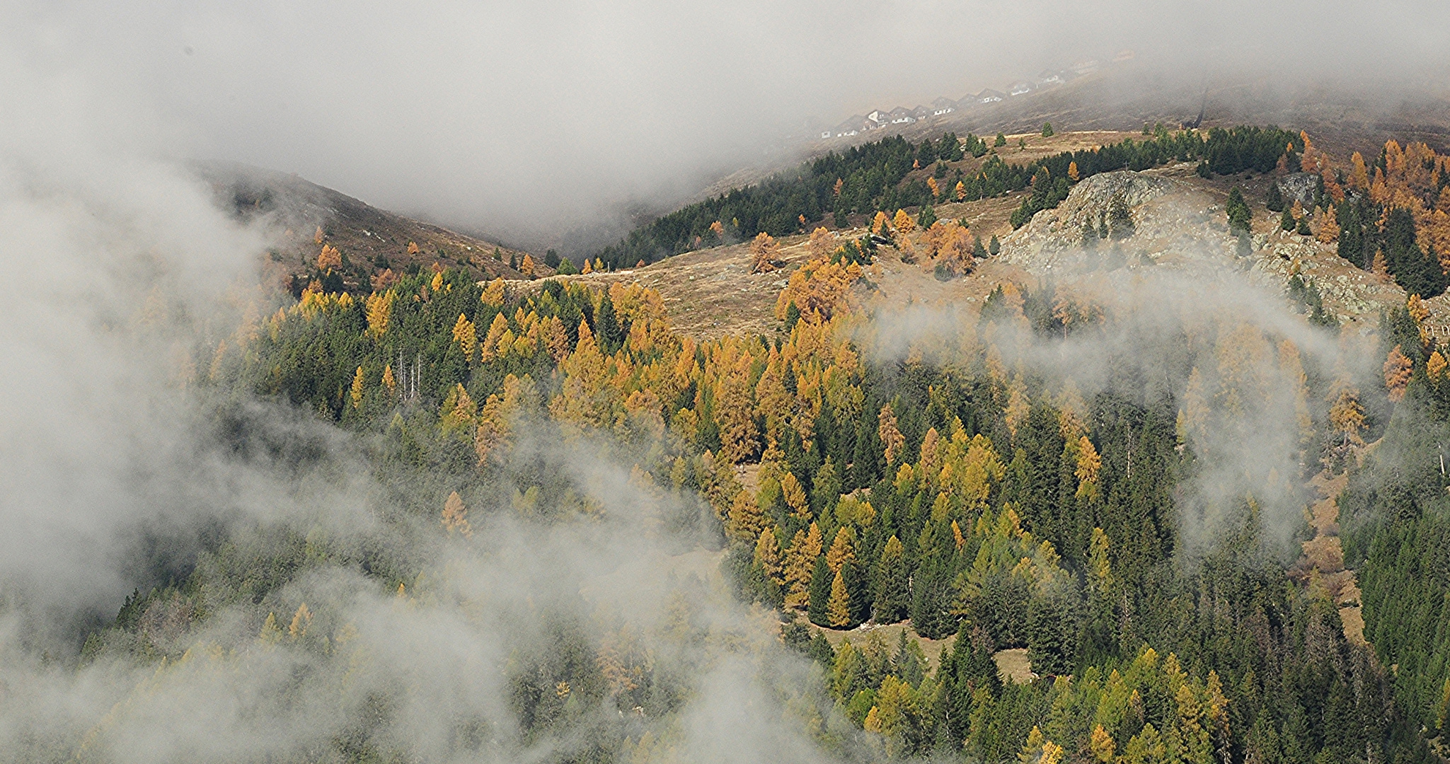 Herbststimmung 1