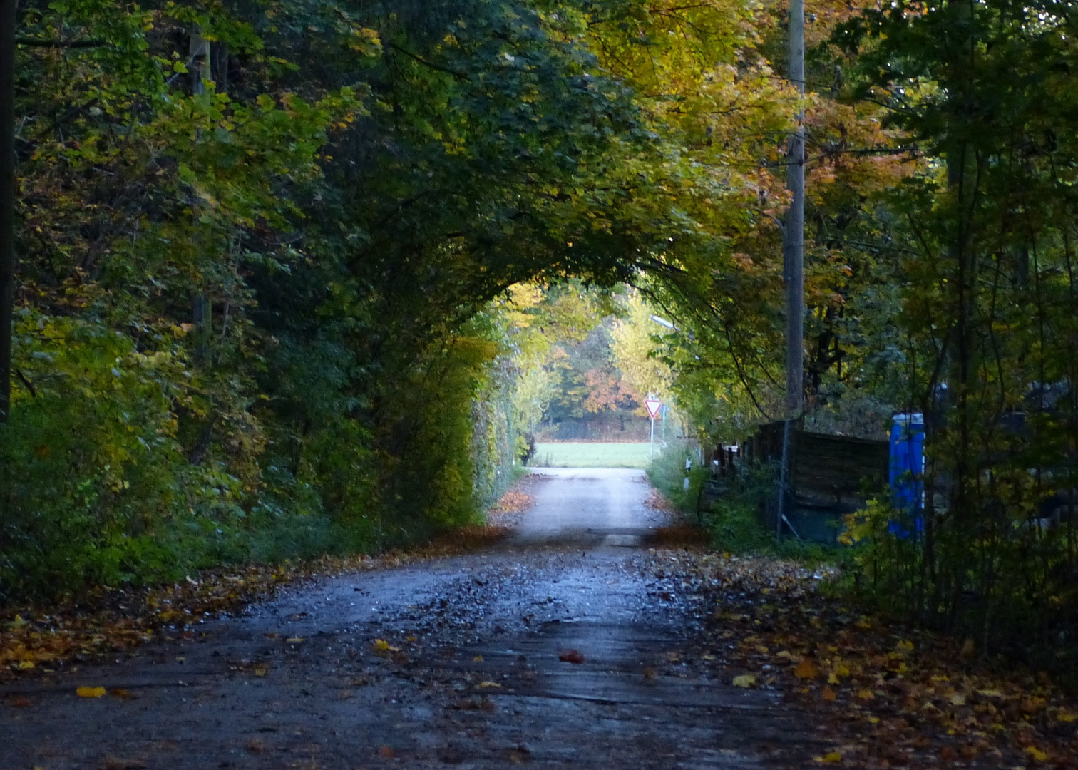 Herbststimmung (1)