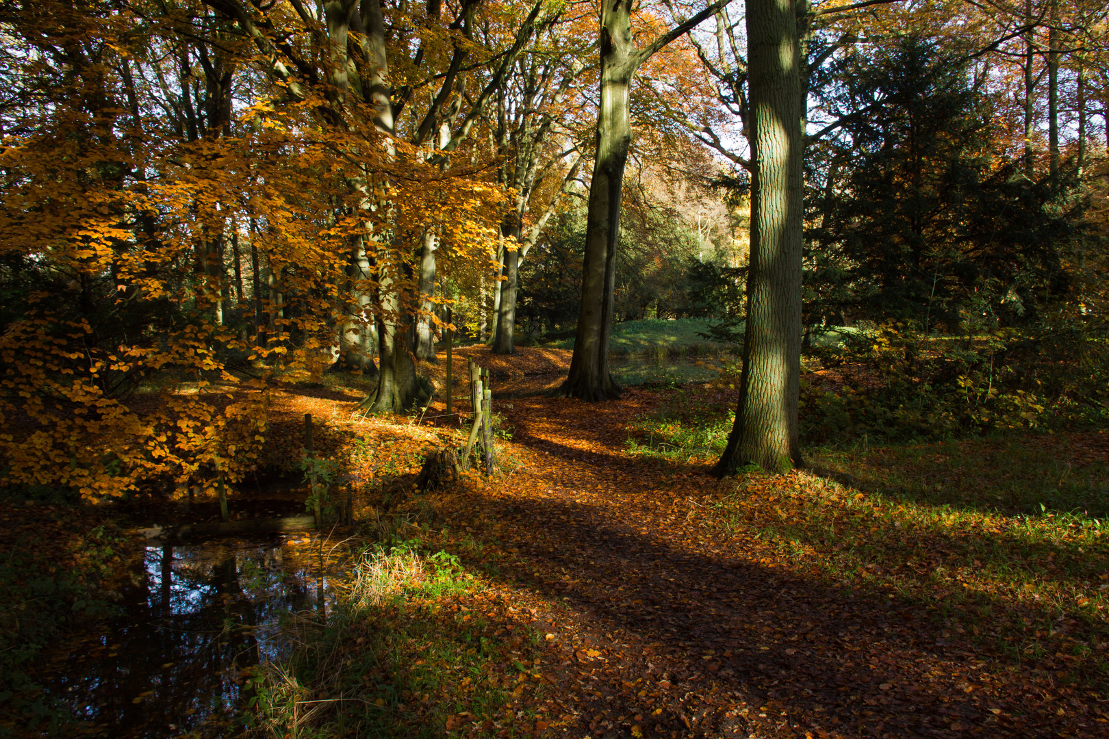 herbststimmung 1