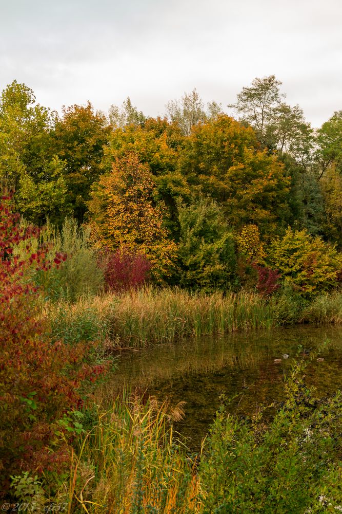 Herbststimmung 1