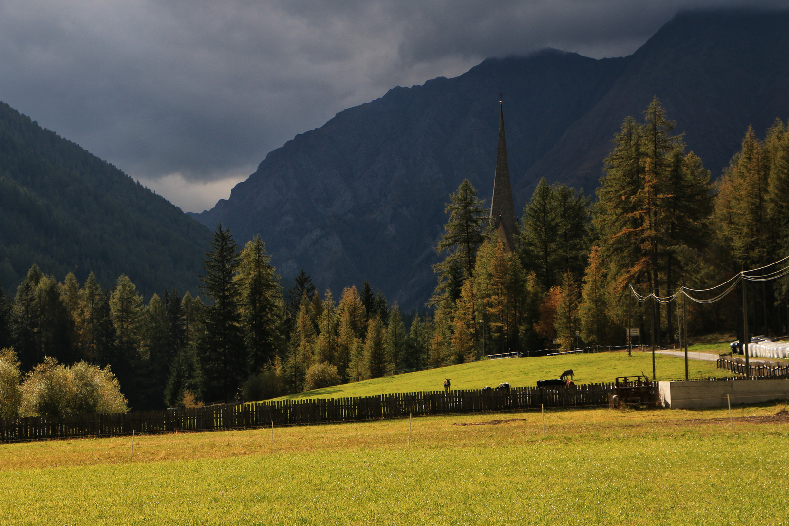 Herbststimmung