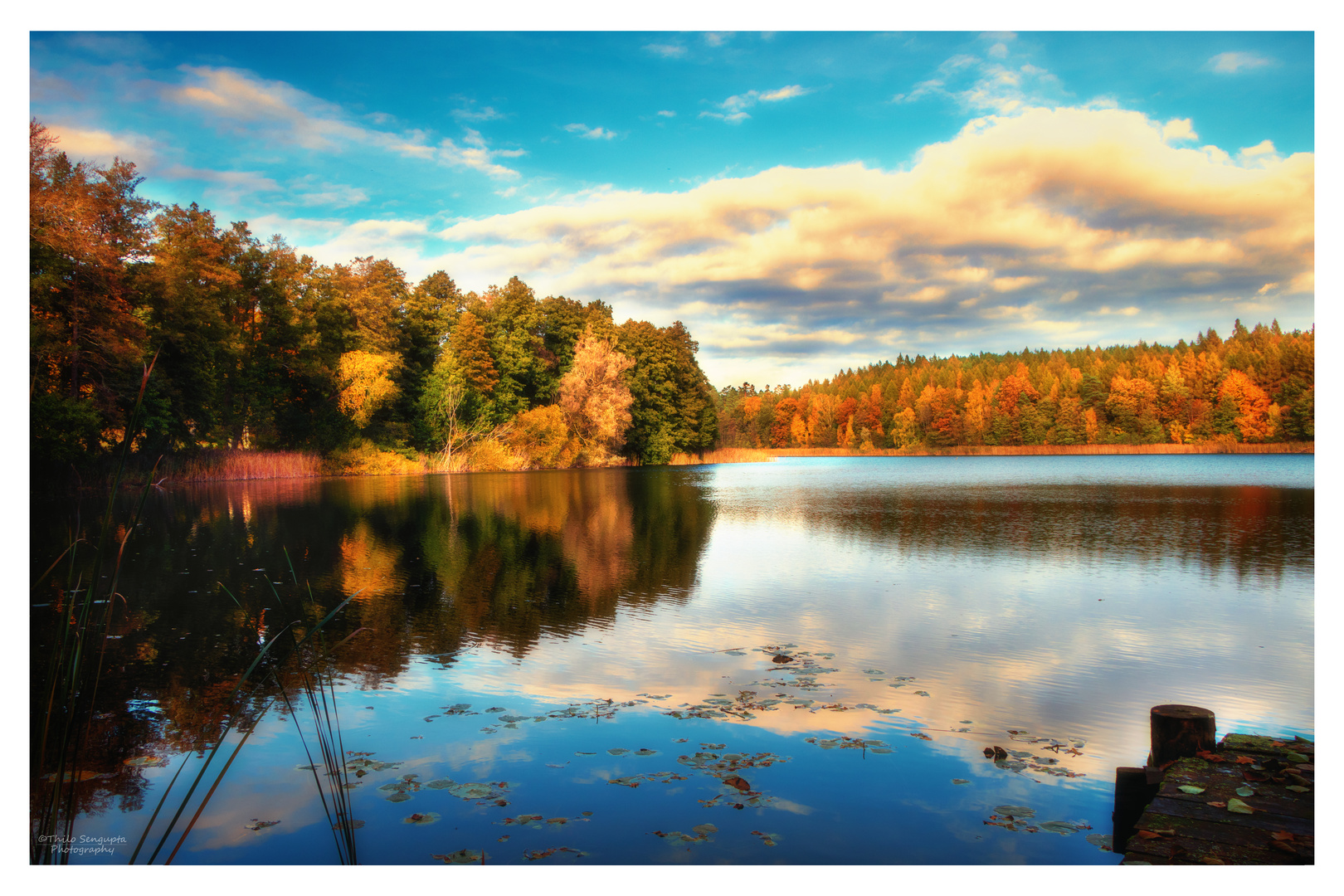 Herbststimmung