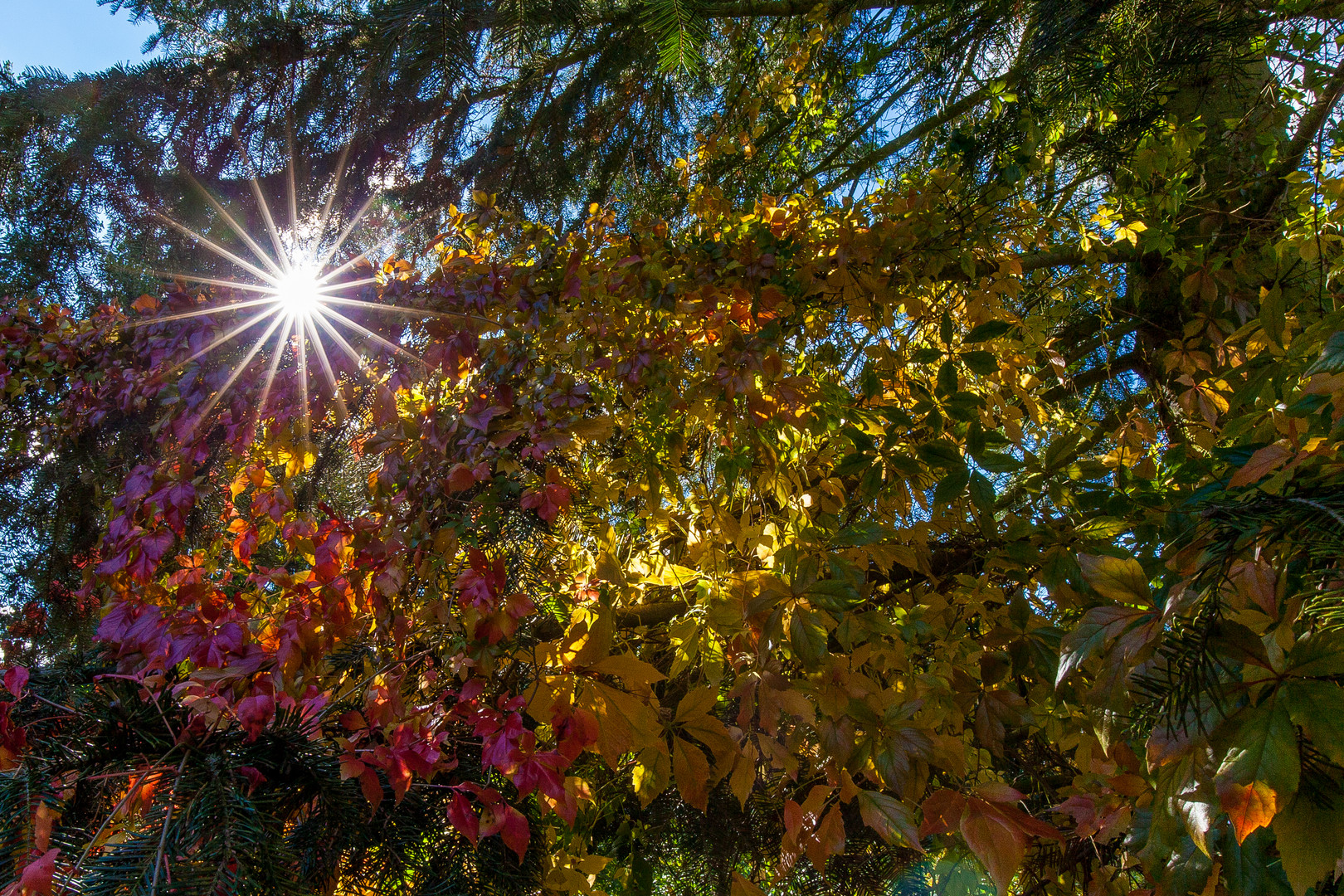 Herbststimmung