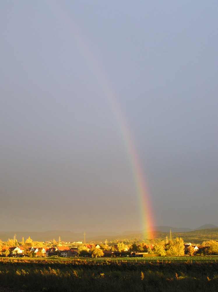 Herbststimmung