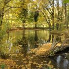 Herbststimmung