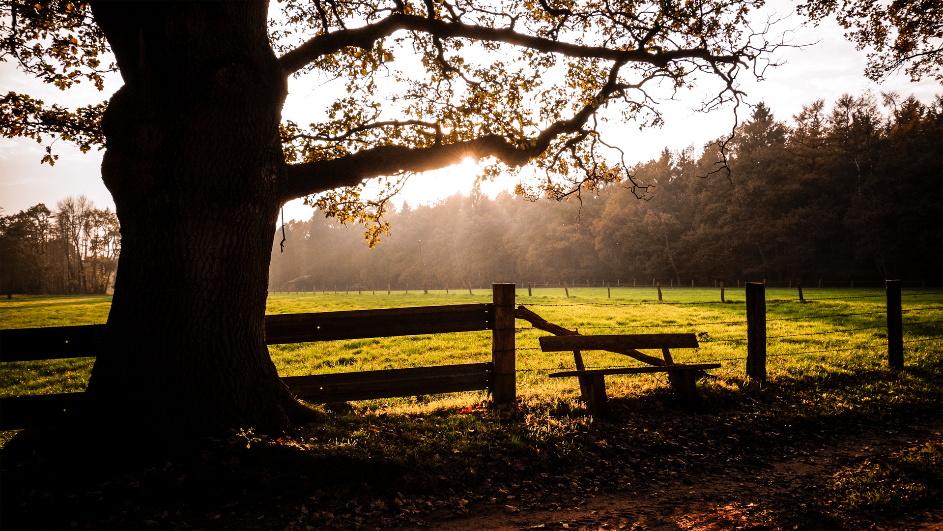 Herbststimmung