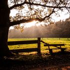 Herbststimmung