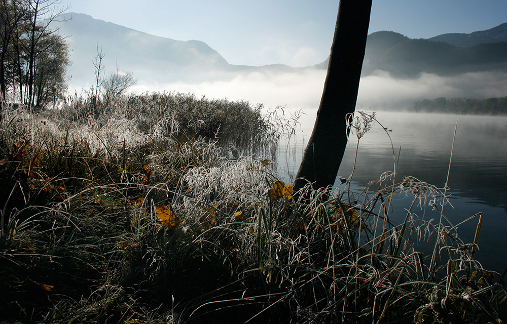 ...Herbststimmung...