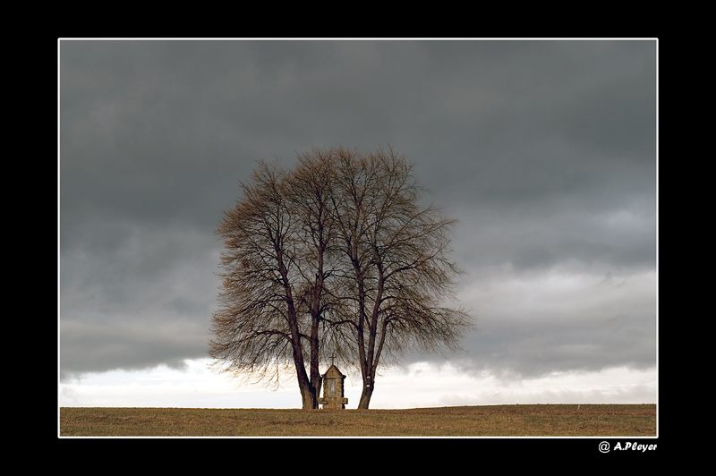 Herbststimmung!