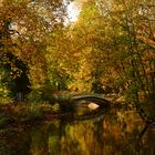 Herbststimmung