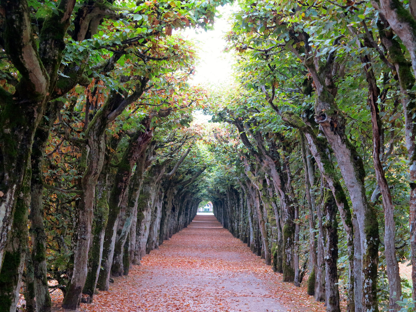 "Herbststimmung" 