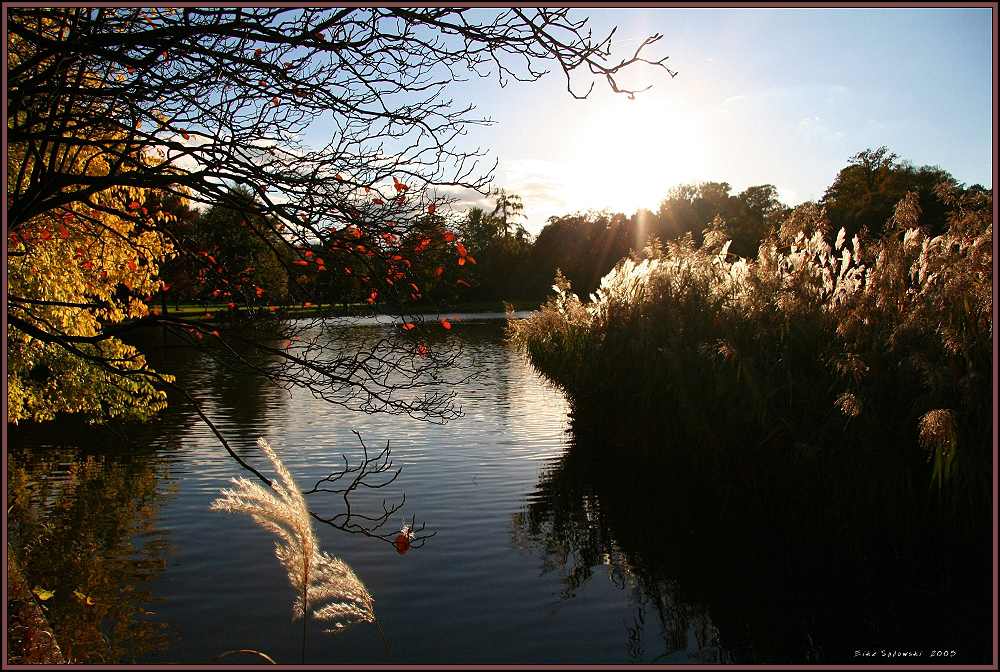 Herbststimmung