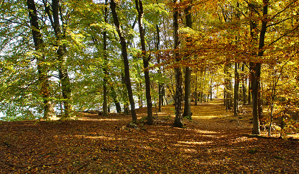 Herbststimmung...