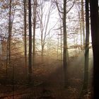 Herbststimmung