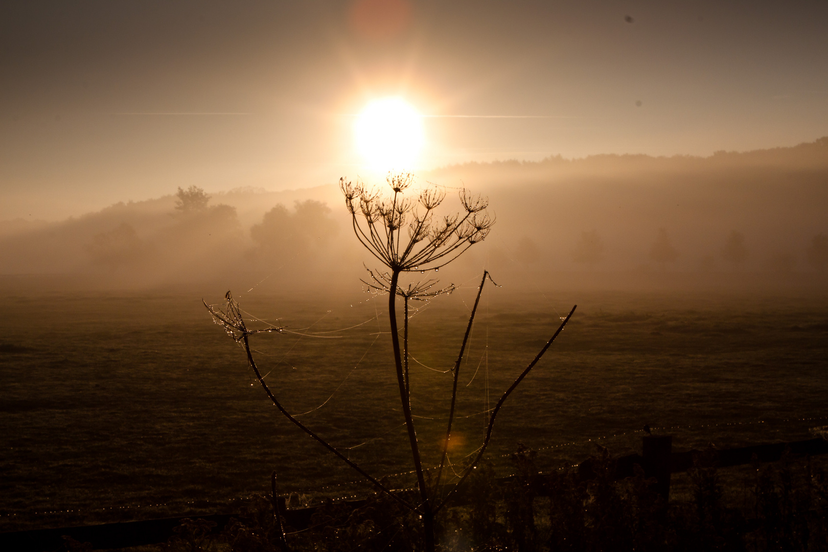 Herbststimmung