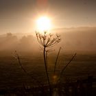 Herbststimmung