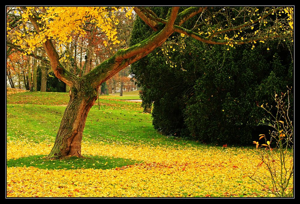 Herbststimmung