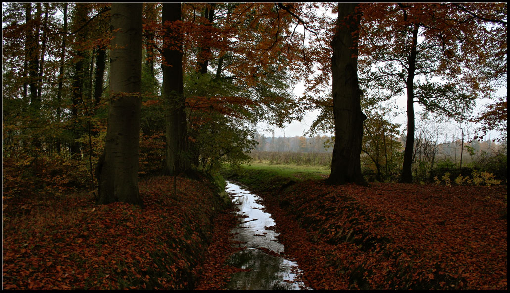 Herbststimmung