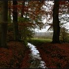 Herbststimmung