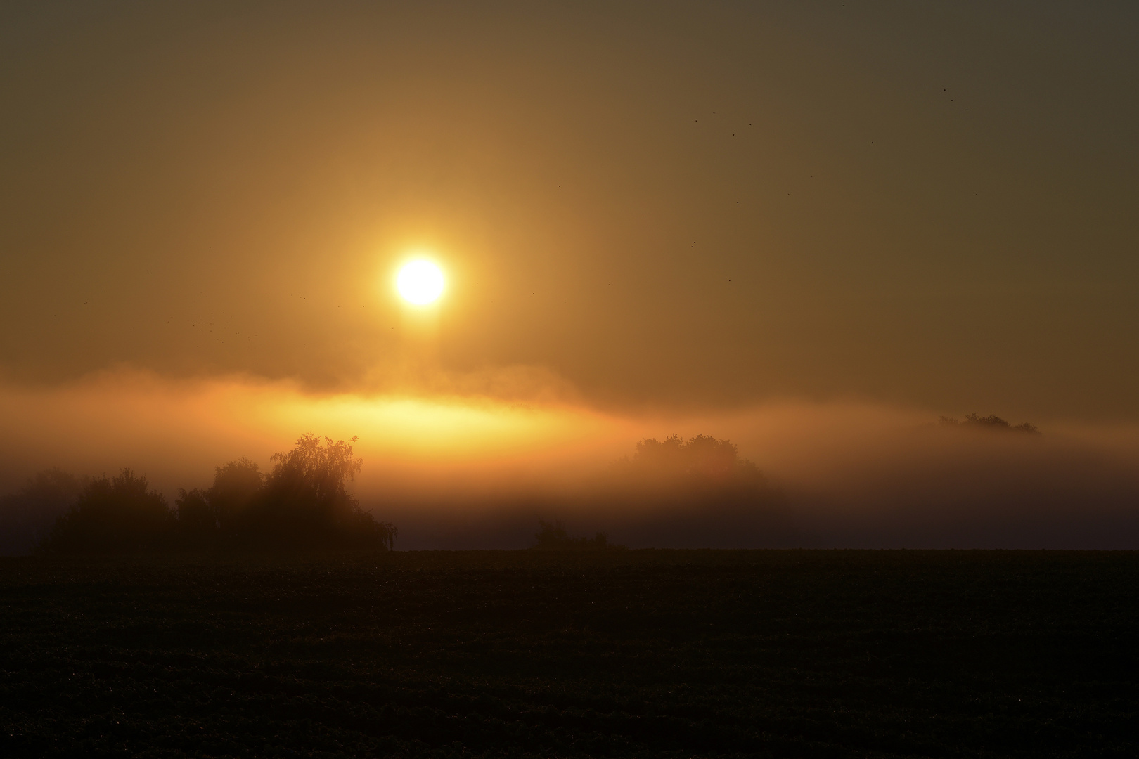 Herbststimmung