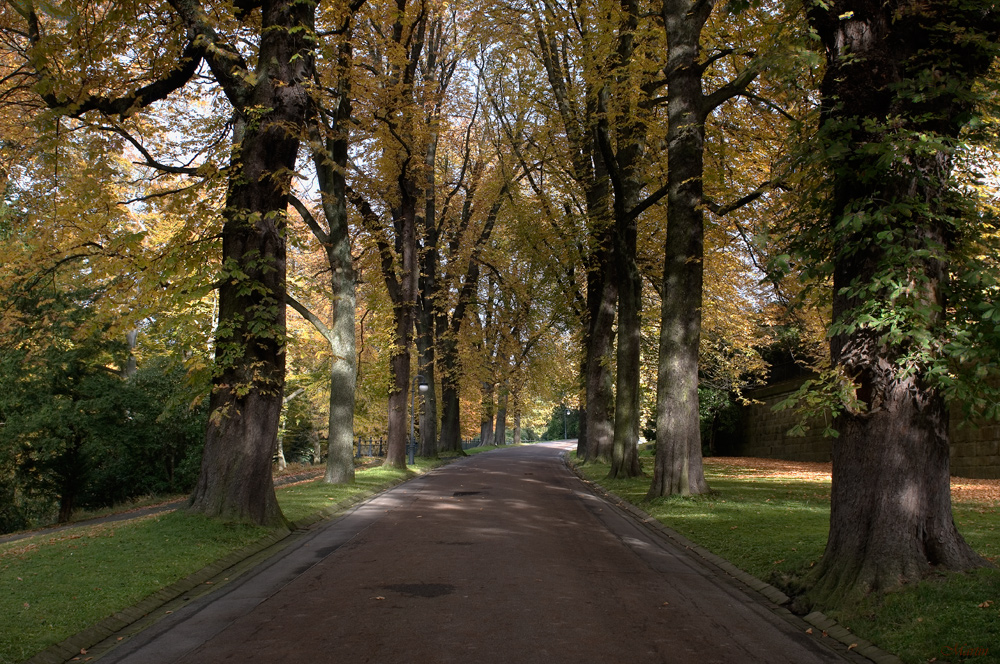 Herbststimmung