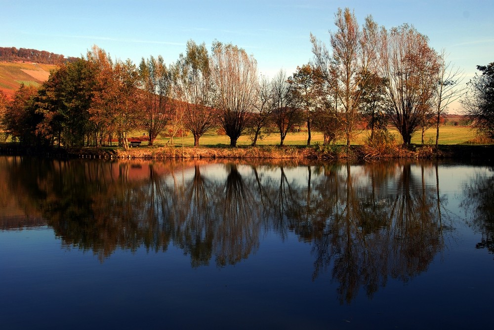 Herbststimmung