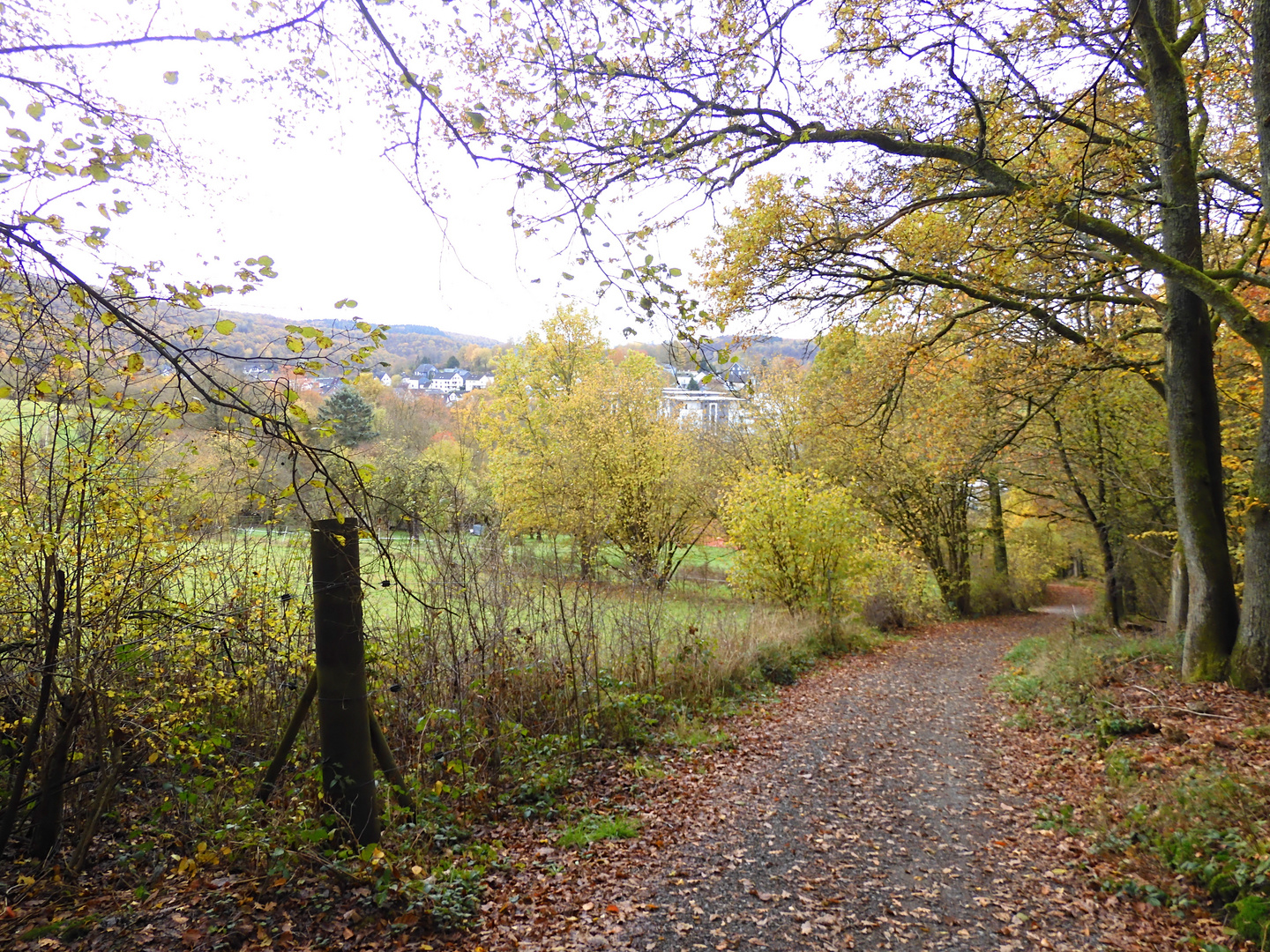 Herbststimmung