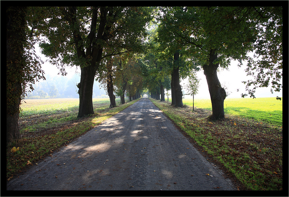 Herbststimmung 2