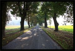 Herbststimmung 2