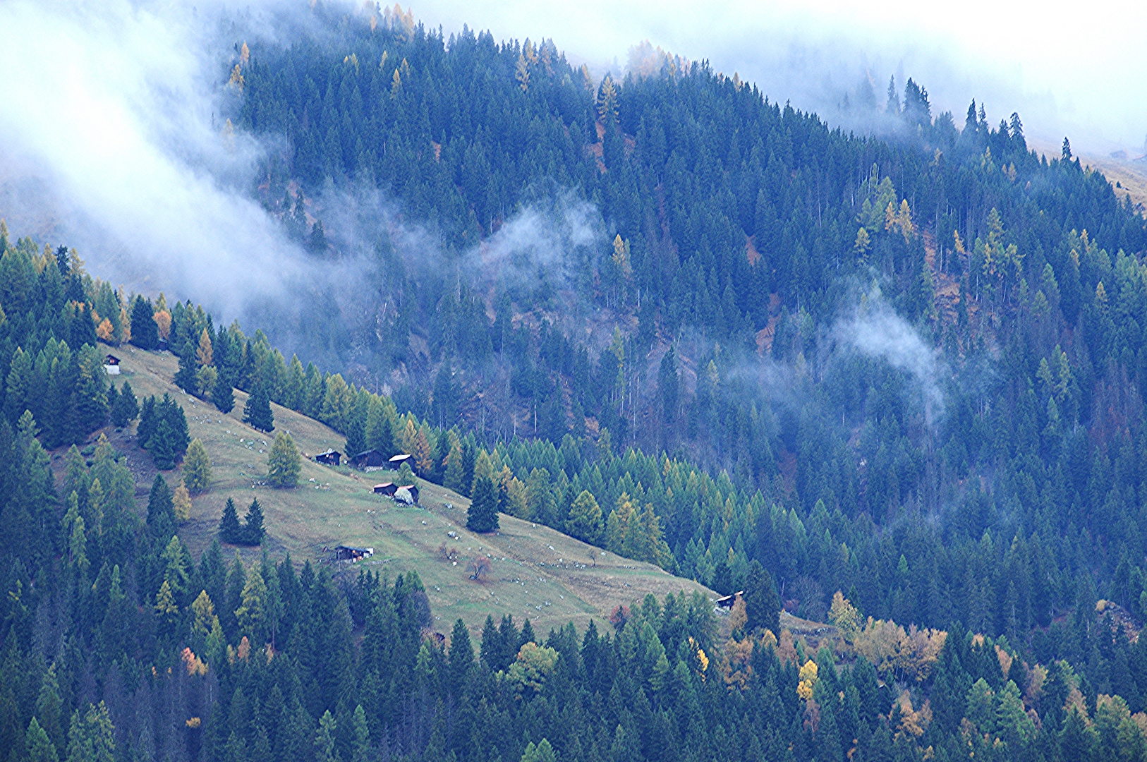 Herbststimmung 2