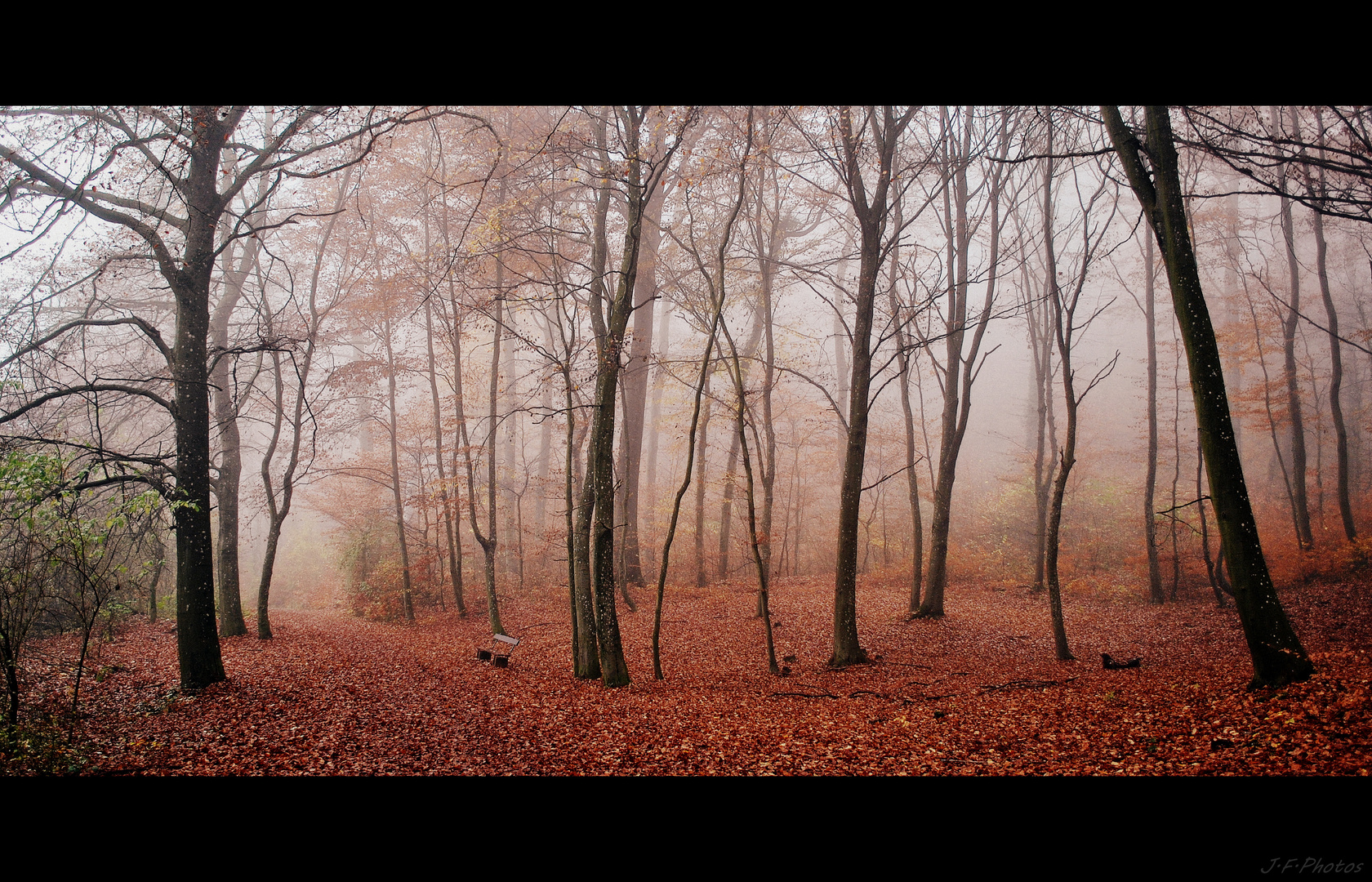 Herbststimmung 2