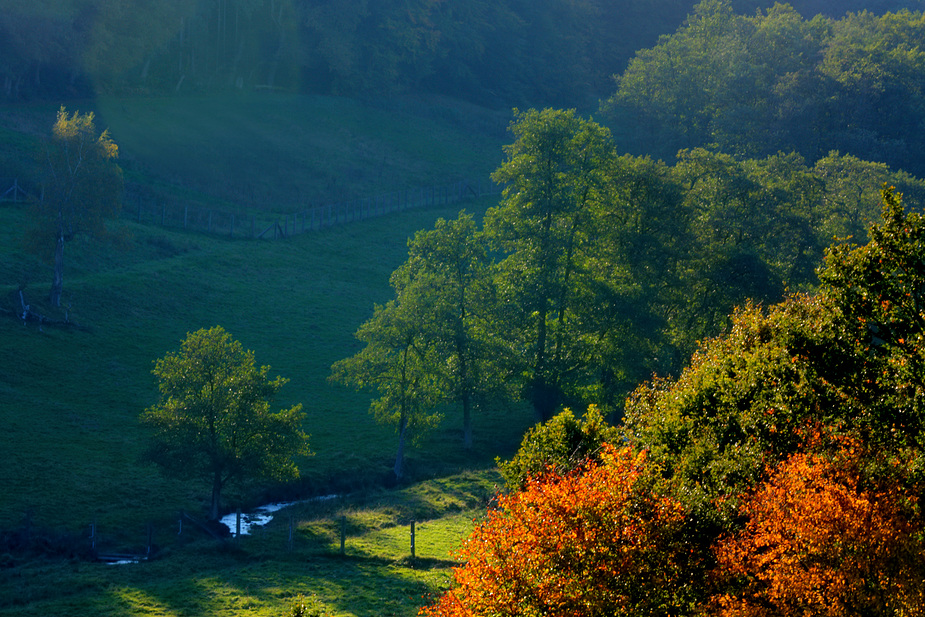 Herbststimmung -2-